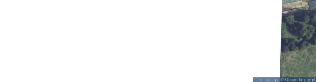 Zdjęcie satelitarne Witosa Wincentego ul.