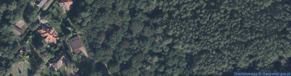 Zdjęcie satelitarne Wiewiórcza ul.