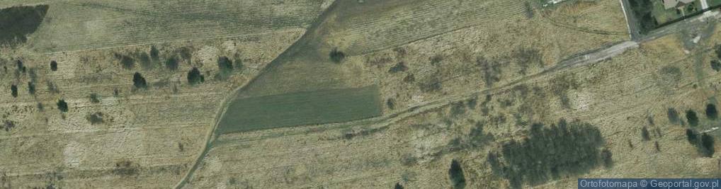 Zdjęcie satelitarne Witosa Wincentego ul.