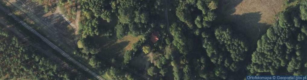 Zdjęcie satelitarne Wierzbowa ul.