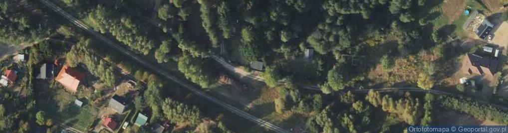 Zdjęcie satelitarne Wierzbowa ul.