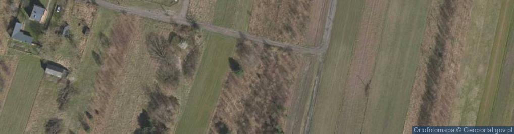 Zdjęcie satelitarne Wilcza ul.