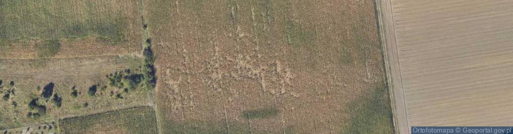 Zdjęcie satelitarne Wiejska ul.