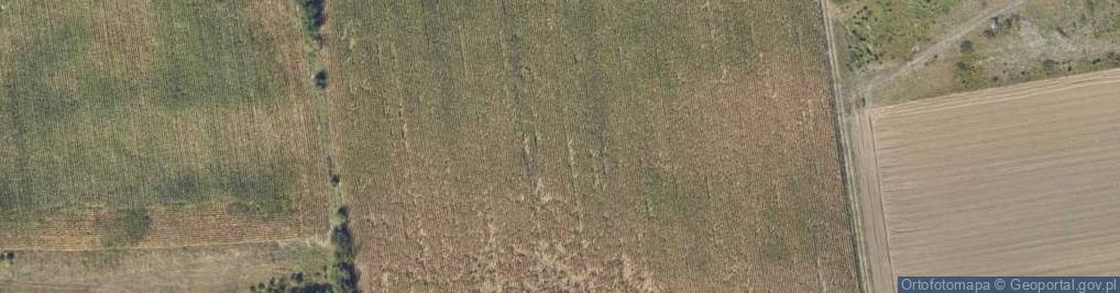 Zdjęcie satelitarne Wiejska ul.