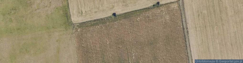 Zdjęcie satelitarne Wiejska ul.