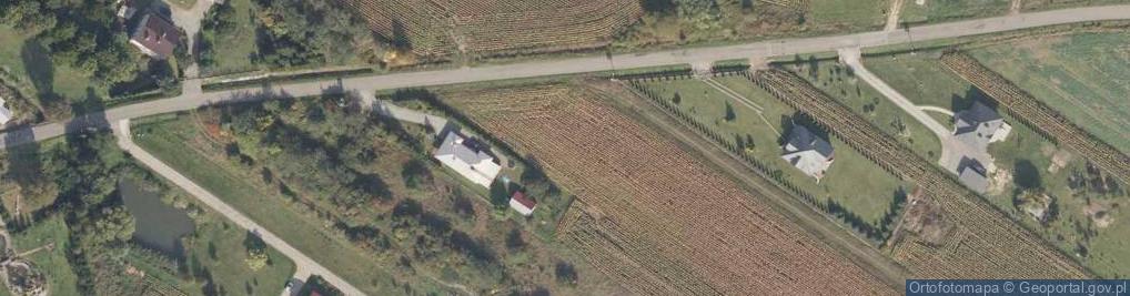 Zdjęcie satelitarne Wiosenna ul.