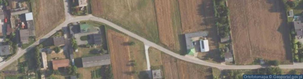 Zdjęcie satelitarne Wiktorowska ul.