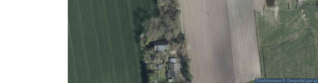 Zdjęcie satelitarne Wierzbowa ul.