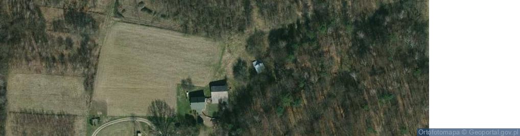 Zdjęcie satelitarne Widacz ul.