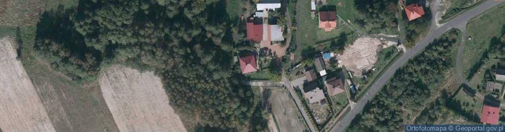 Zdjęcie satelitarne Widełka ul.
