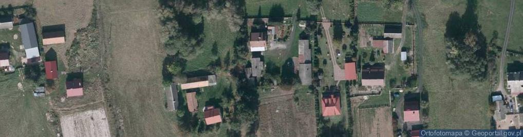 Zdjęcie satelitarne Widełka ul.
