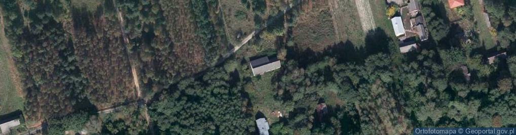 Zdjęcie satelitarne Widełka ul.