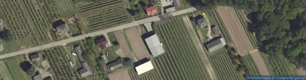 Zdjęcie satelitarne Widły ul.