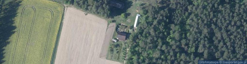 Zdjęcie satelitarne Widźgowo ul.