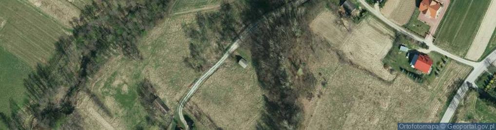 Zdjęcie satelitarne Więckowice ul.