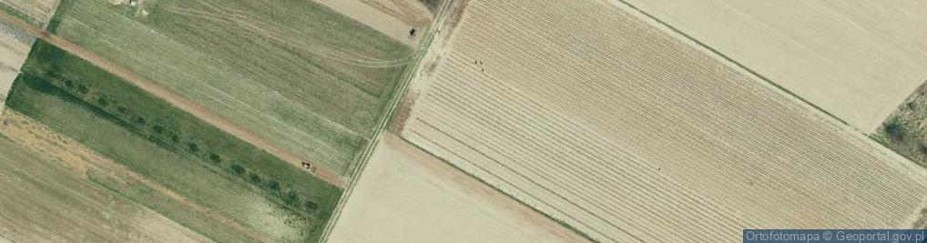 Zdjęcie satelitarne Więckowice ul.