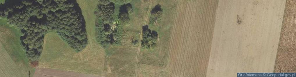 Zdjęcie satelitarne Wiekowo ul.