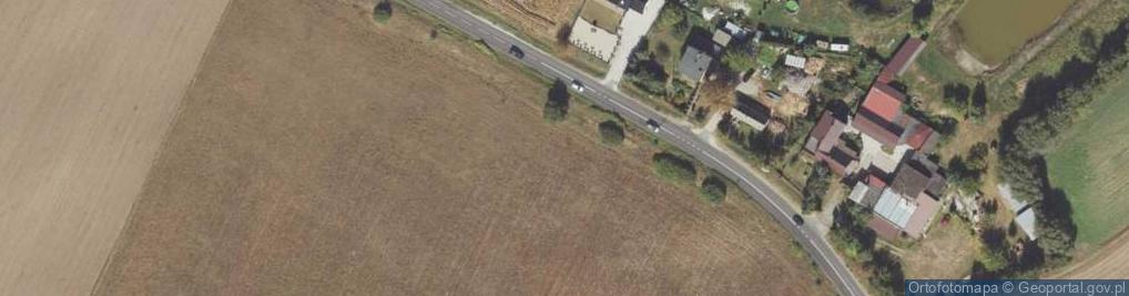 Zdjęcie satelitarne Wiekowo ul.