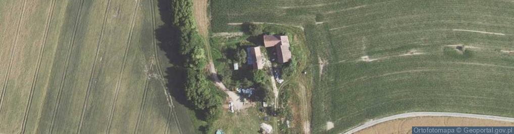 Zdjęcie satelitarne Wielichów ul.