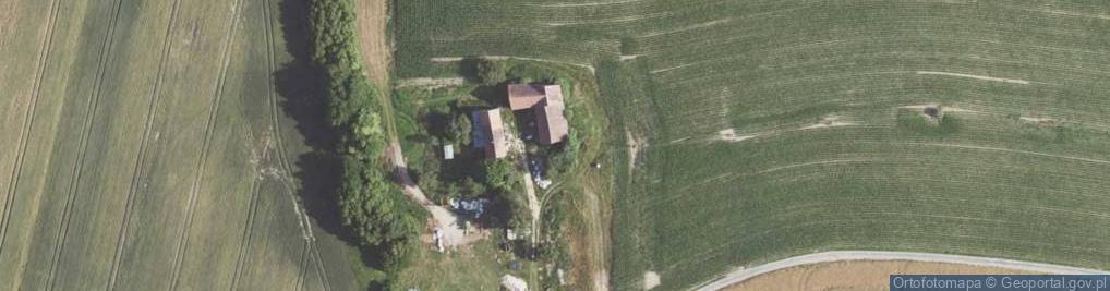 Zdjęcie satelitarne Wielichów ul.