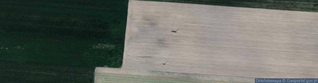 Zdjęcie satelitarne Wielkolas ul.