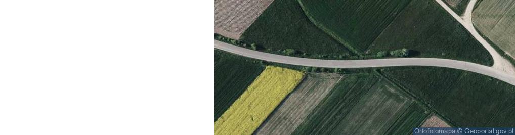 Zdjęcie satelitarne Wielkolas ul.