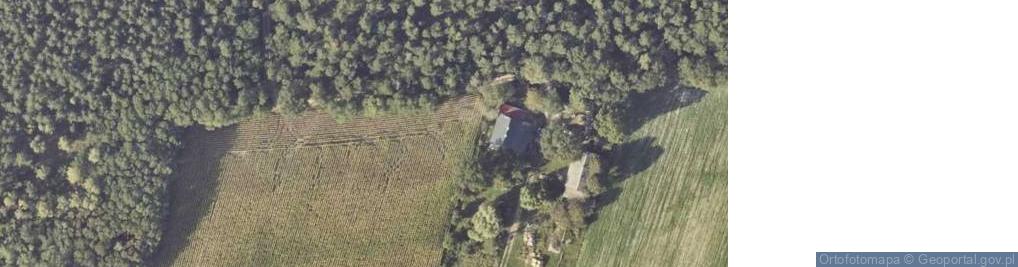 Zdjęcie satelitarne Wielołęka ul.