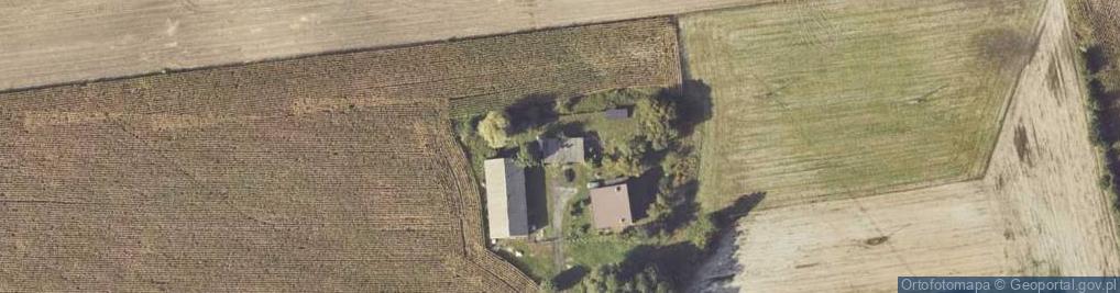 Zdjęcie satelitarne Wielołęka ul.