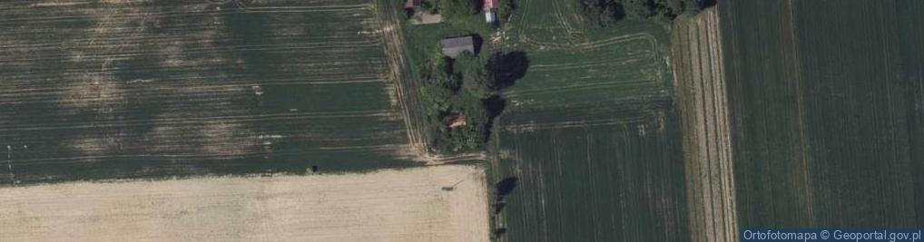 Zdjęcie satelitarne Wierzba ul.
