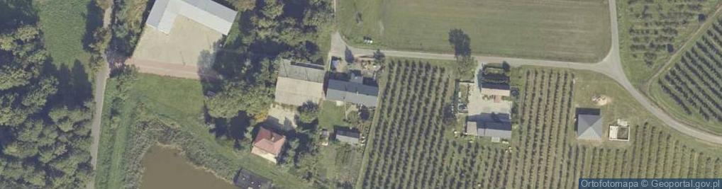 Zdjęcie satelitarne Wierzbie ul.