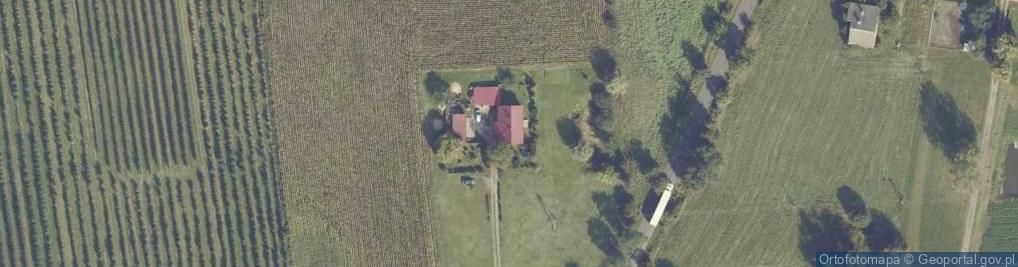 Zdjęcie satelitarne Wierzbie ul.