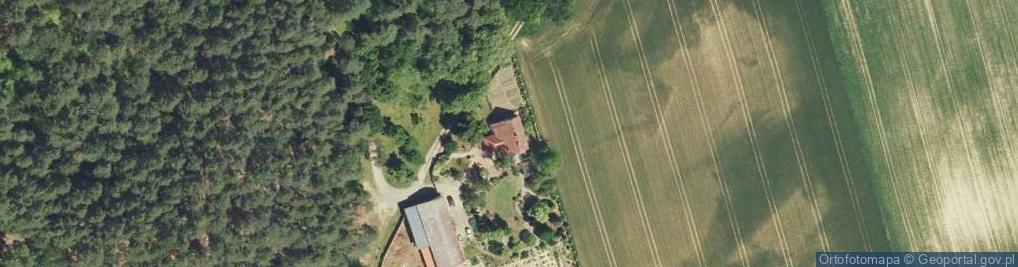 Zdjęcie satelitarne Wierzbno ul.