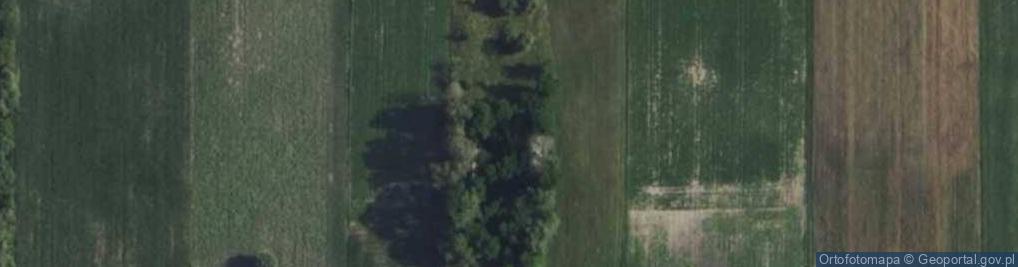 Zdjęcie satelitarne Wierzbówiec ul.