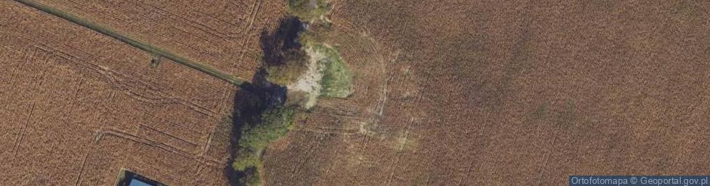 Zdjęcie satelitarne Wierzbowo ul.