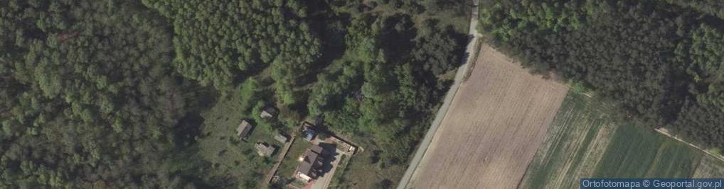 Zdjęcie satelitarne Wierzchowiska Dolne ul.