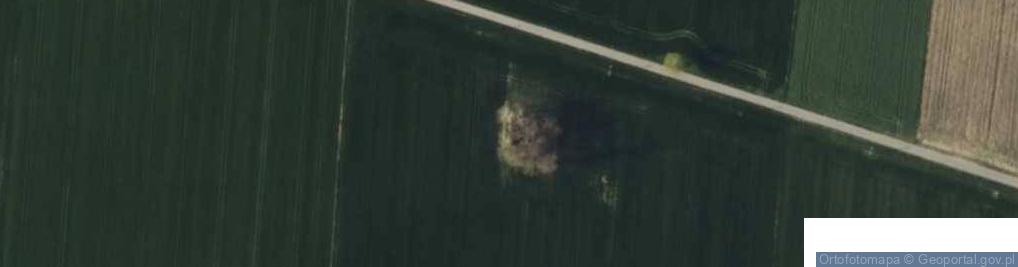 Zdjęcie satelitarne Wierzchy ul.