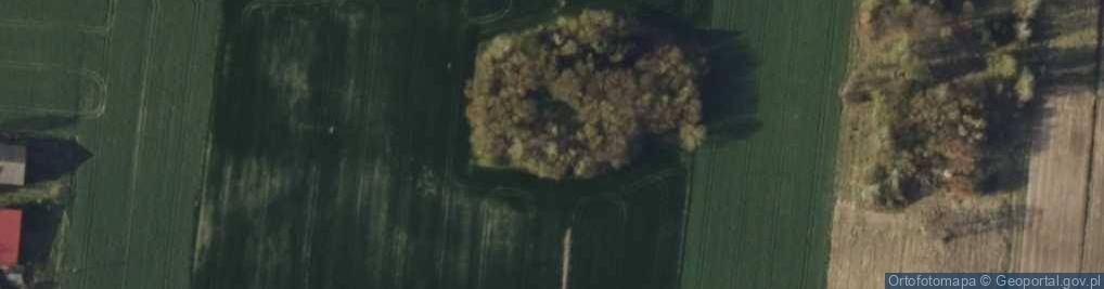 Zdjęcie satelitarne Wierzchy ul.