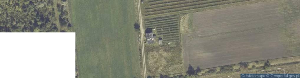 Zdjęcie satelitarne Wierzelin ul.