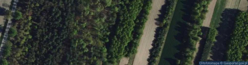 Zdjęcie satelitarne Wikłów ul.