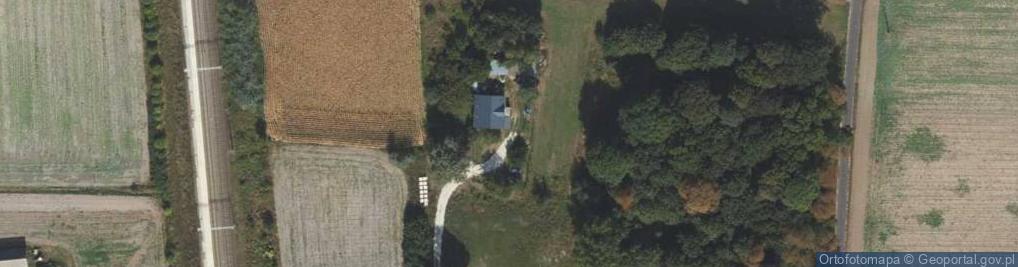 Zdjęcie satelitarne Wiktorowo ul.