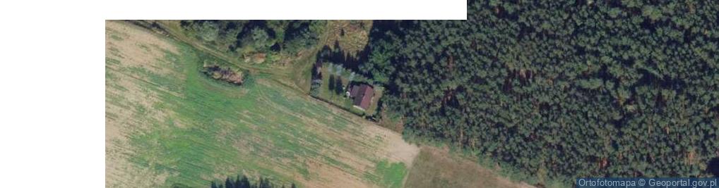 Zdjęcie satelitarne Wiktorowo ul.