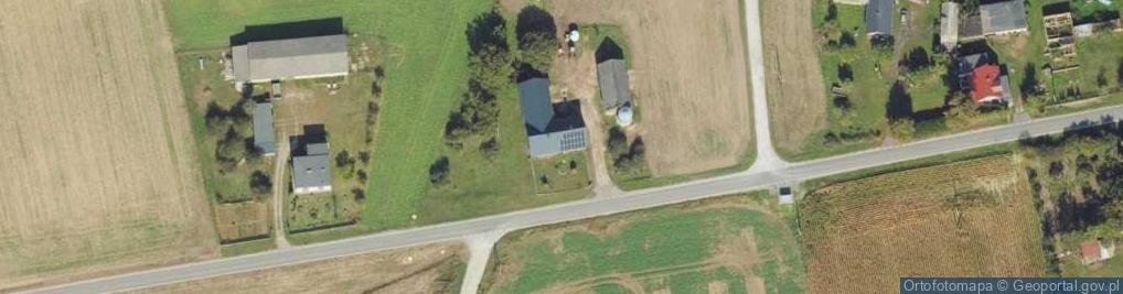 Zdjęcie satelitarne Wilcze ul.