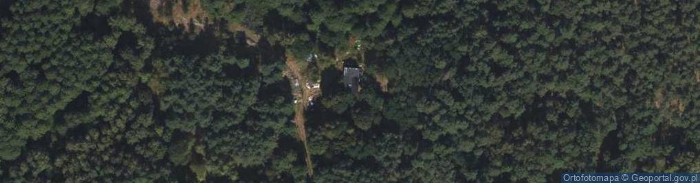 Zdjęcie satelitarne Wilczeniec Bogucki ul.