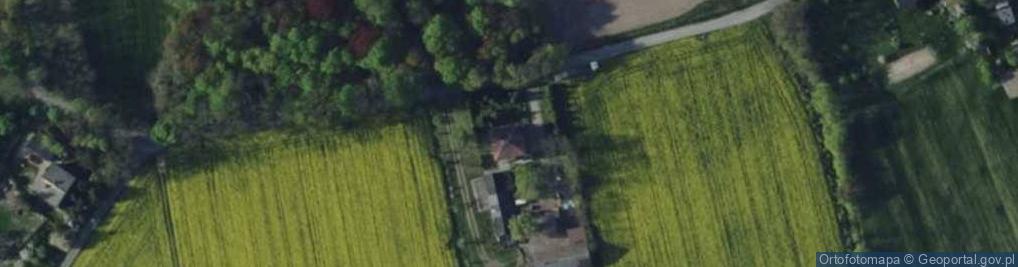 Zdjęcie satelitarne Wilczkowice ul.