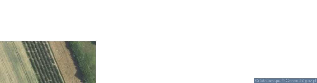 Zdjęcie satelitarne Wilczyce ul.