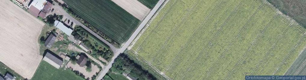 Zdjęcie satelitarne Wilczyn ul.