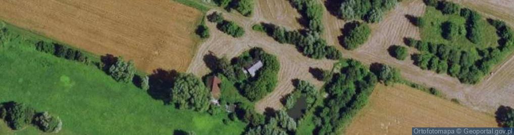 Zdjęcie satelitarne Wilków nad Wisłą ul.