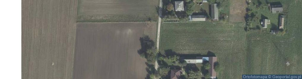 Zdjęcie satelitarne Wilków ul.