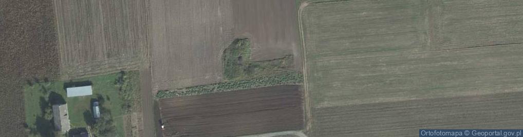 Zdjęcie satelitarne Wilków ul.