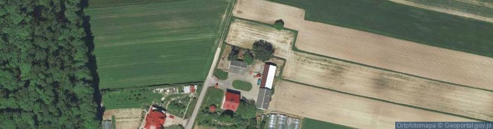 Zdjęcie satelitarne Wilcza ul.